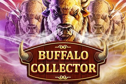 Buffalo Collector